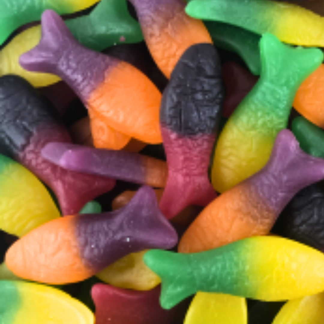 Colourful Fish NZ : Rainbow