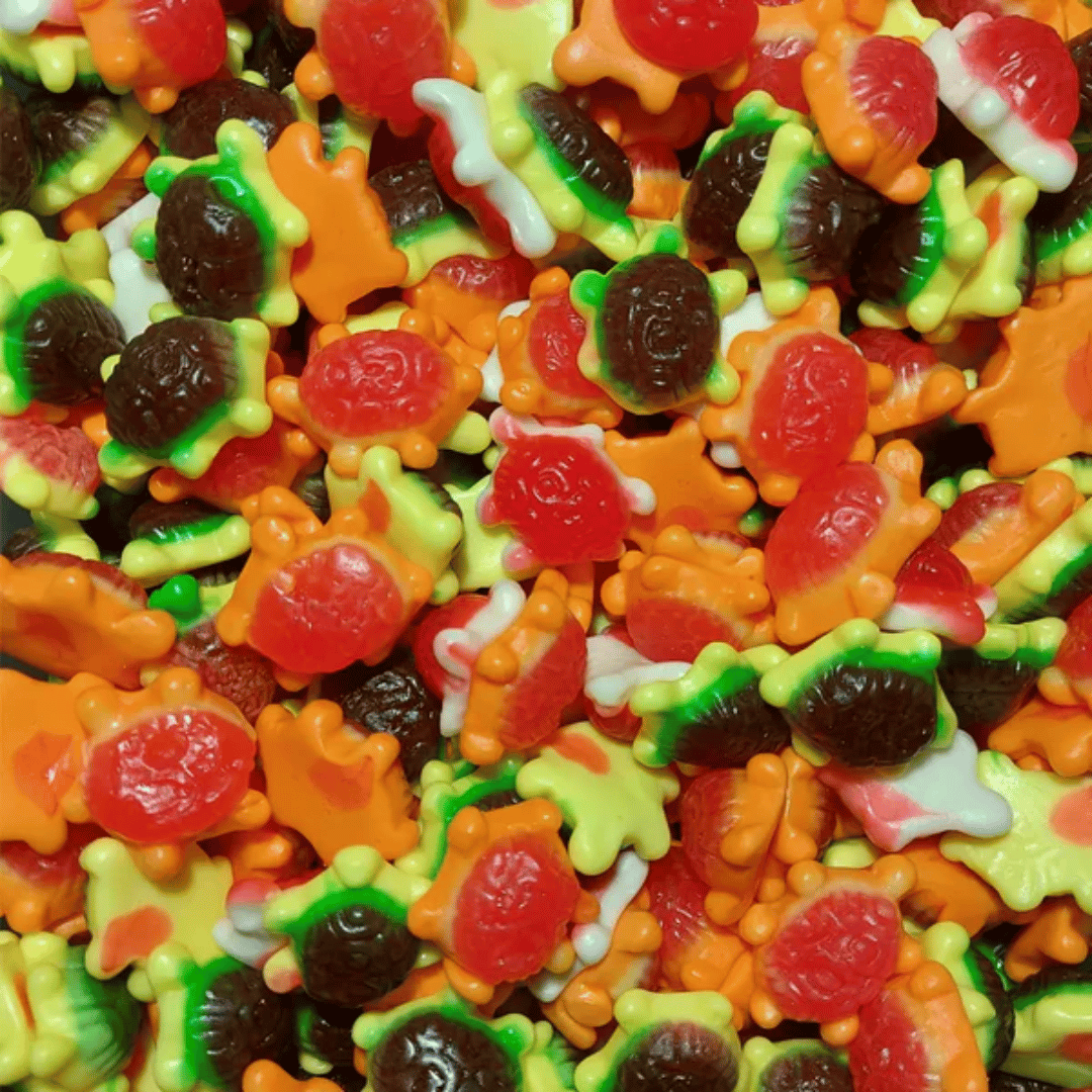 Jelly Filled Turtles UK : Vidal