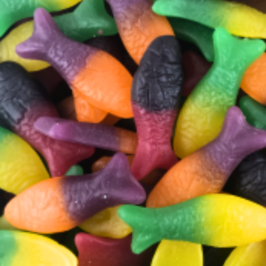 Colourful Fish NZ : Rainbow