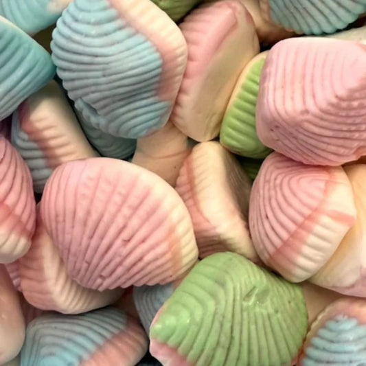 Foam Shells UK