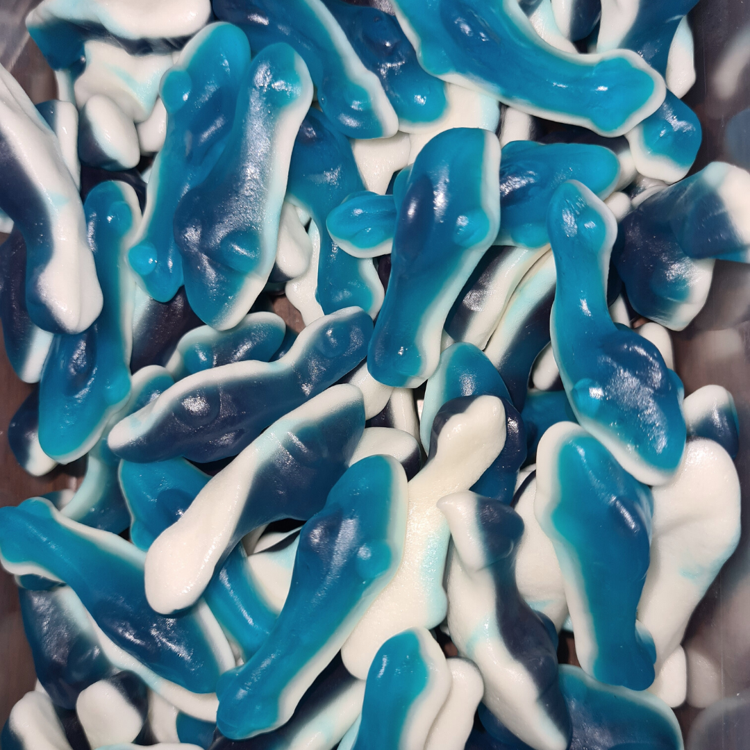 A collection of blue and white gummy candies shaped like shark fins, displayed in a clear plastic container.